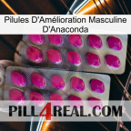 Anaconda Male Enhancement Pills 10
